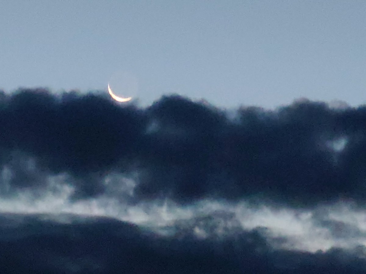 みやこ(少しずつお返しお伺い中/無言♡・ﾘﾎﾟｽﾄ深謝🙇‍♀️) tweet media