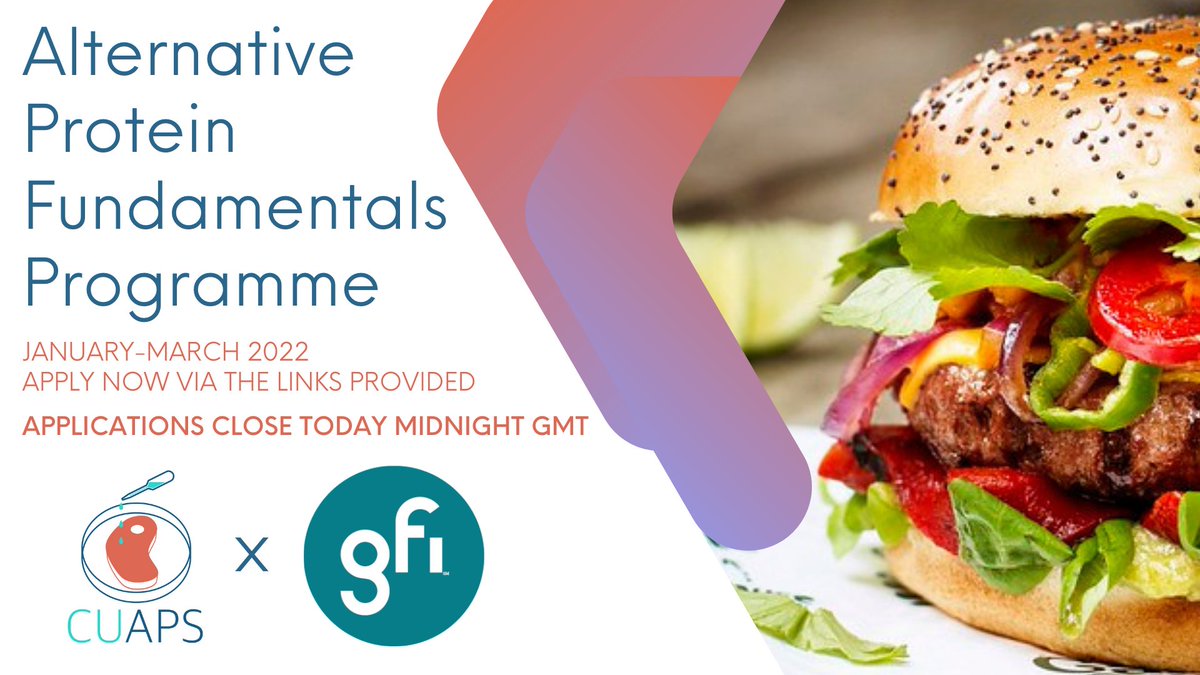 CUAltProteins's tweet photo. FINAL REMINDER - Applications for the Alternative Protein Fundamentals Programme with @GoodFoodInst close today at midnight GMT! 
More details and the application form can be found here: https://t.co/oyYxrp0ye2 https://t.co/7RNK5cXsxS