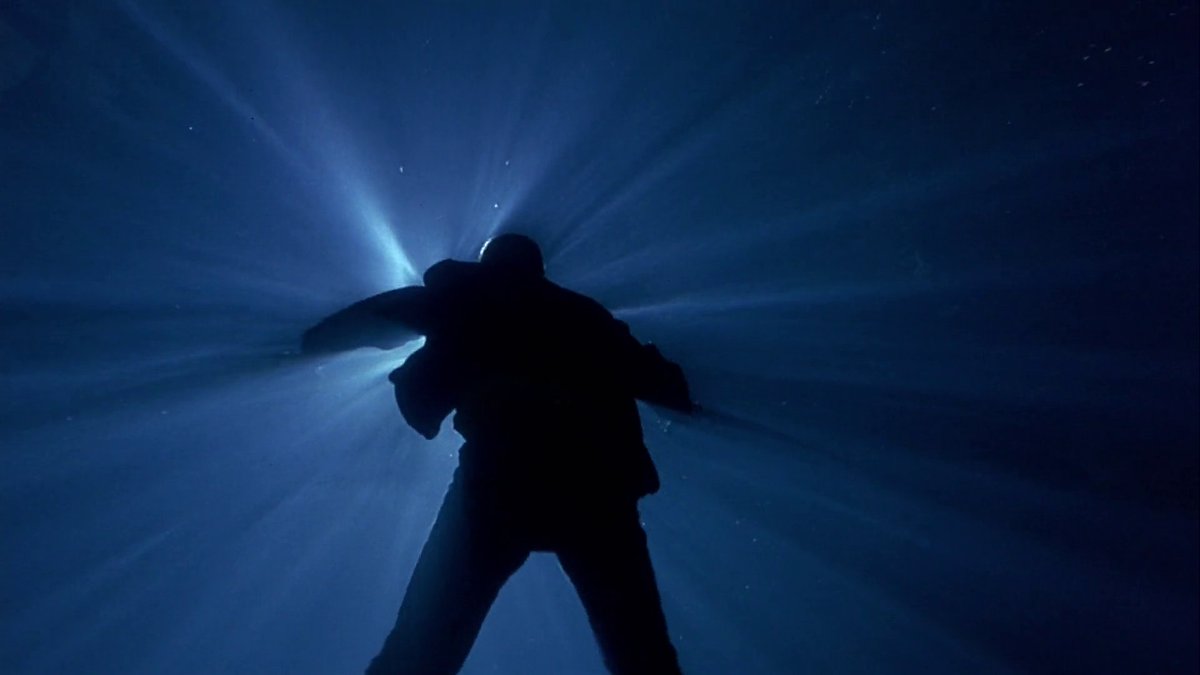 malicknoir's tweet image. 