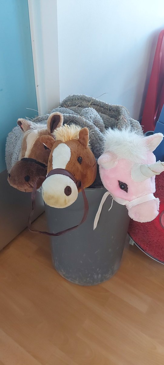 the_dance_lady's tweet photo. Love a PE cupboard me ! ..especially when Equestrianism is part of the PE provision #learningthroughmovement https://t.co/RPG1LrDkPf