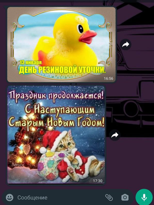 const_7's tweet image. А вы будете праздновать сегодня со своей уточкой?