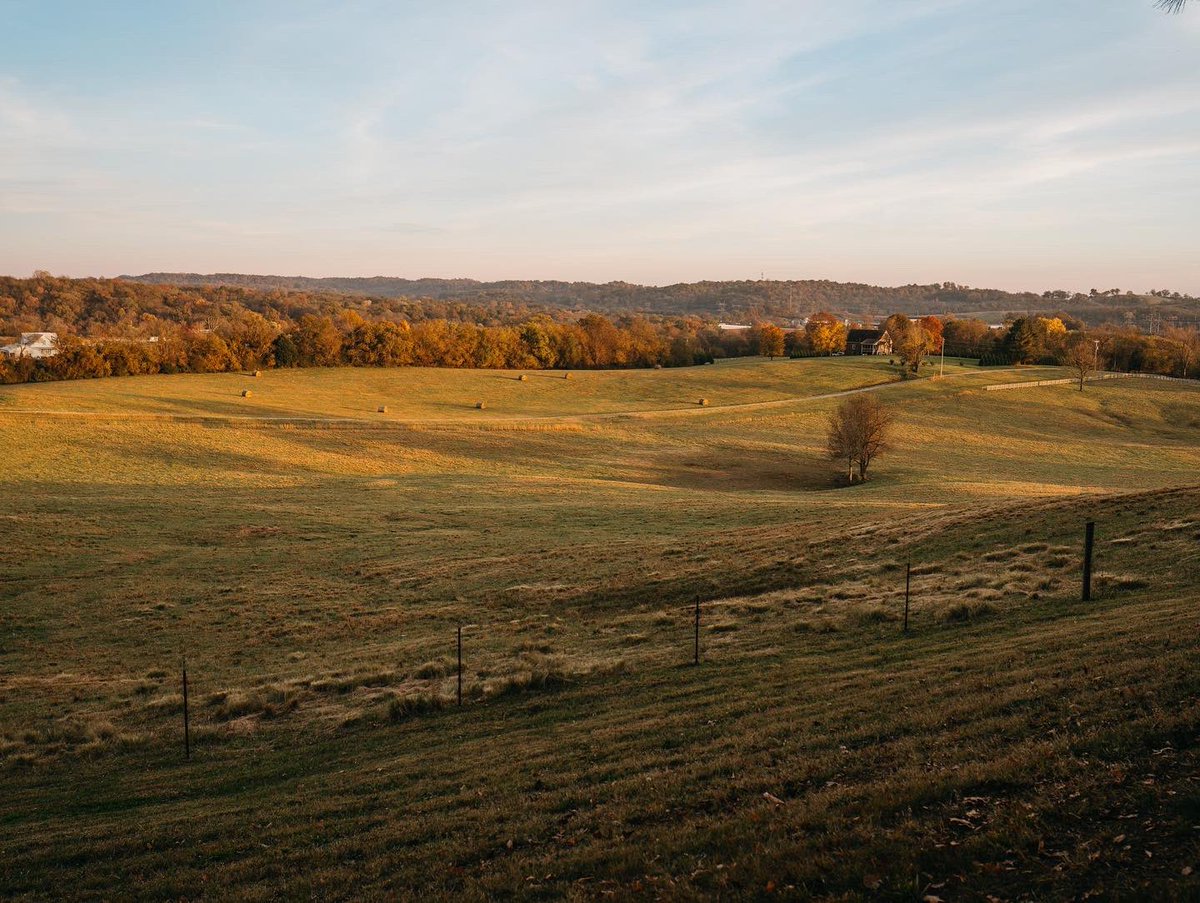 avvayhq's tweet photo. We can't BELIEVE how stunning this brand new location is. You will never run out of space here—this farm is 17 acres! Check it out: https://t.co/40i1uZEwrO #locationscouting #filmlocations #photolocations https://t.co/zQvj8CNwsT
