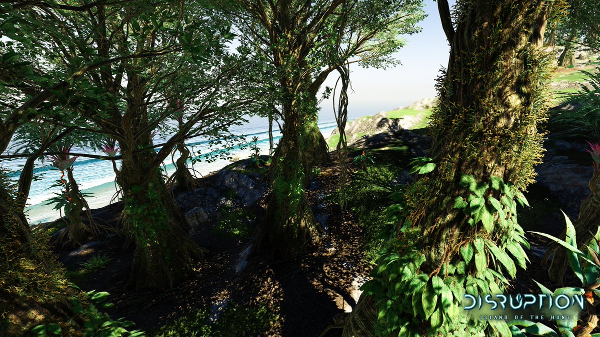 play_disruption's tweet photo. 🏝️ https://t.co/0vHBPKi6d7