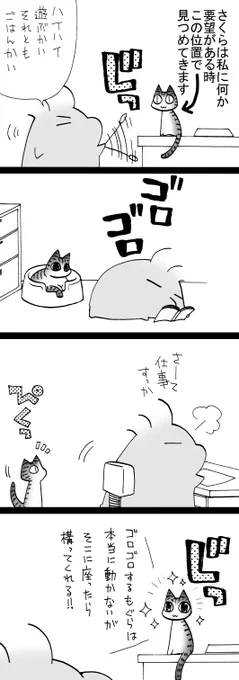 四コマ漫画「猫は見てる」

#御かぞくさま御いっこう #四コマ漫画 