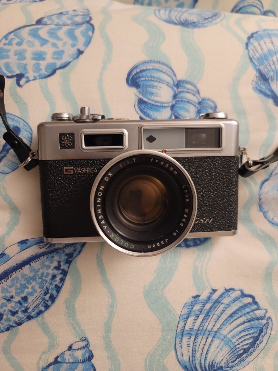 reallyreina_'s tweet photo. a camera, a sleepless night https://t.co/WxSNGeSWBJ