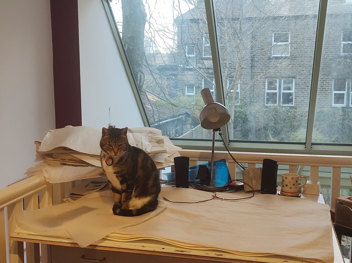 I have help. Apparently my blotting paper pile is the best place to be...but not for me when I'm printing