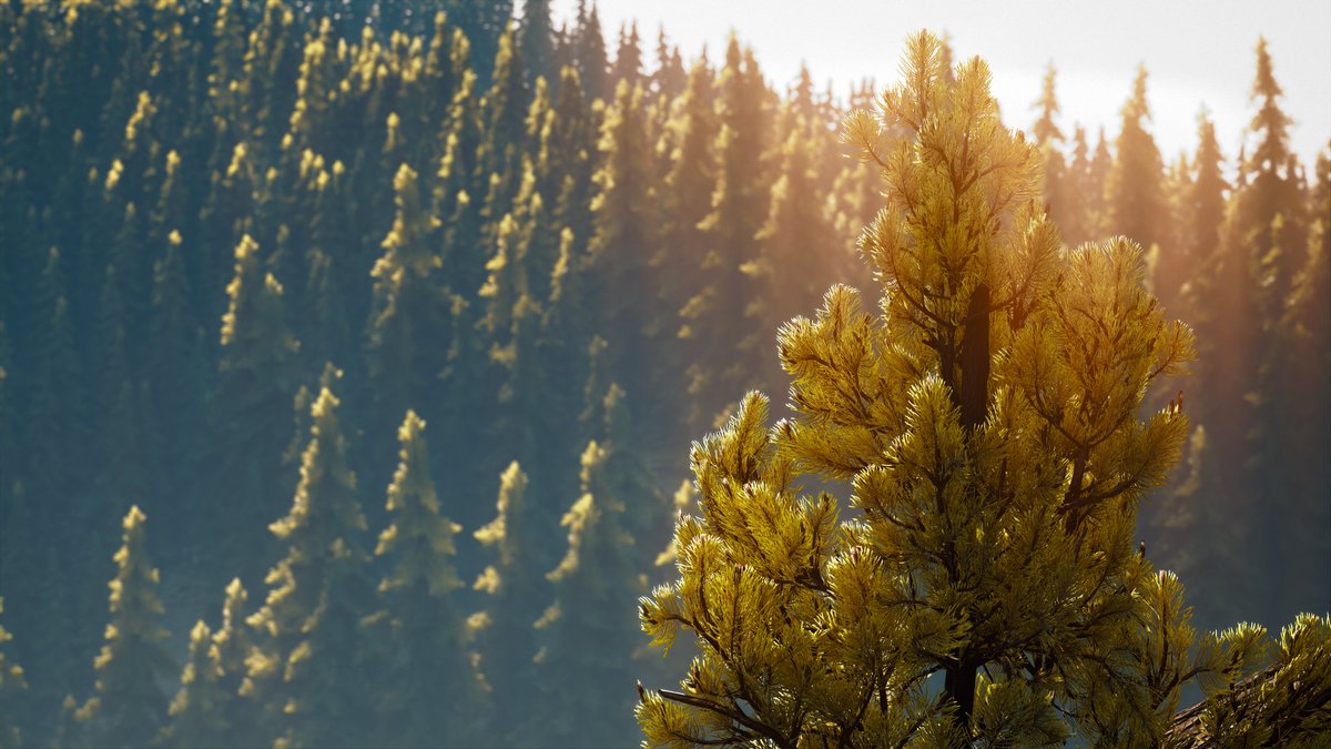 calisarah1998's tweet photo. Game: #DaysGone
Developer: @BendStudio 

#VirtualPhotography #ThePhotoMode #VGPUnite #TheCapturedCollective #WorldofVP #VPEclipse #VPRT #ArtisticofSociety #GamerGram #ZarnGaming #VPCONTEXT #GSVP https://t.co/bRfAMjX83R