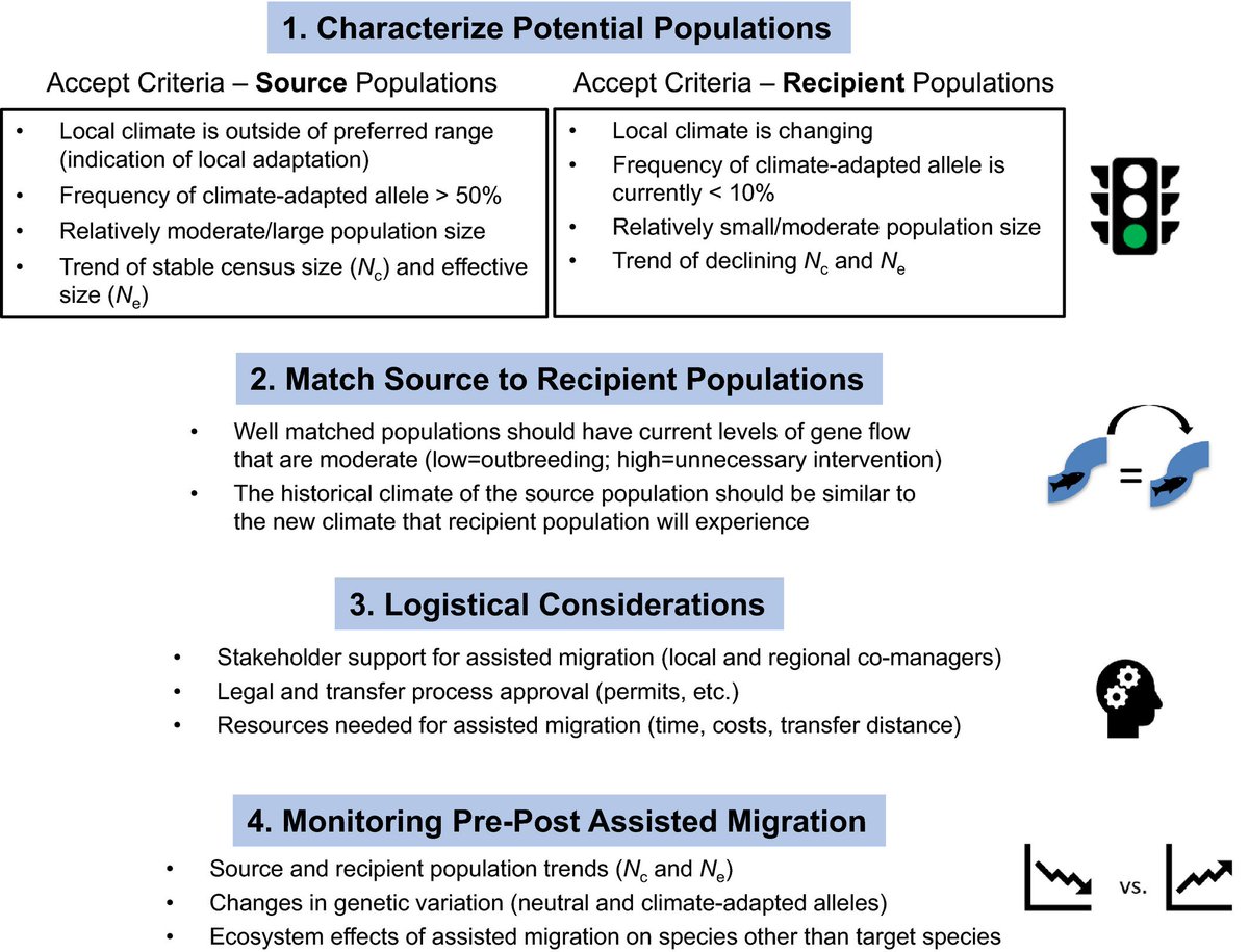 EvolAppJournal's tweet image. !!REVIEW!!
Applying genomics in assisted migration under climate change: Framework, empirical applications, and case studies
doi.org/10.1111/eva.13…
by Chen et al
#adaptation #assisted #GeneFlow #ClimateChange #conservation #genomics