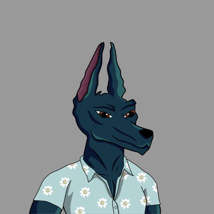 Davc_s's tweet photo. #NFTGiveaway time 💯🔥💚

@anubis_gotd has given me 3 NFT’s to giveaway. 3 winners, drawn in 24 hours 🥳🥳

Rules
✅ Follow Me
✅ Follow @anubis_gotd 
✅ RT 

Hit their Twitter and Discord for more info about their upcoming drop and project. GL 🤞🥳💚

#Anubis_GOTD https://t.co/6nr1nl5vzY