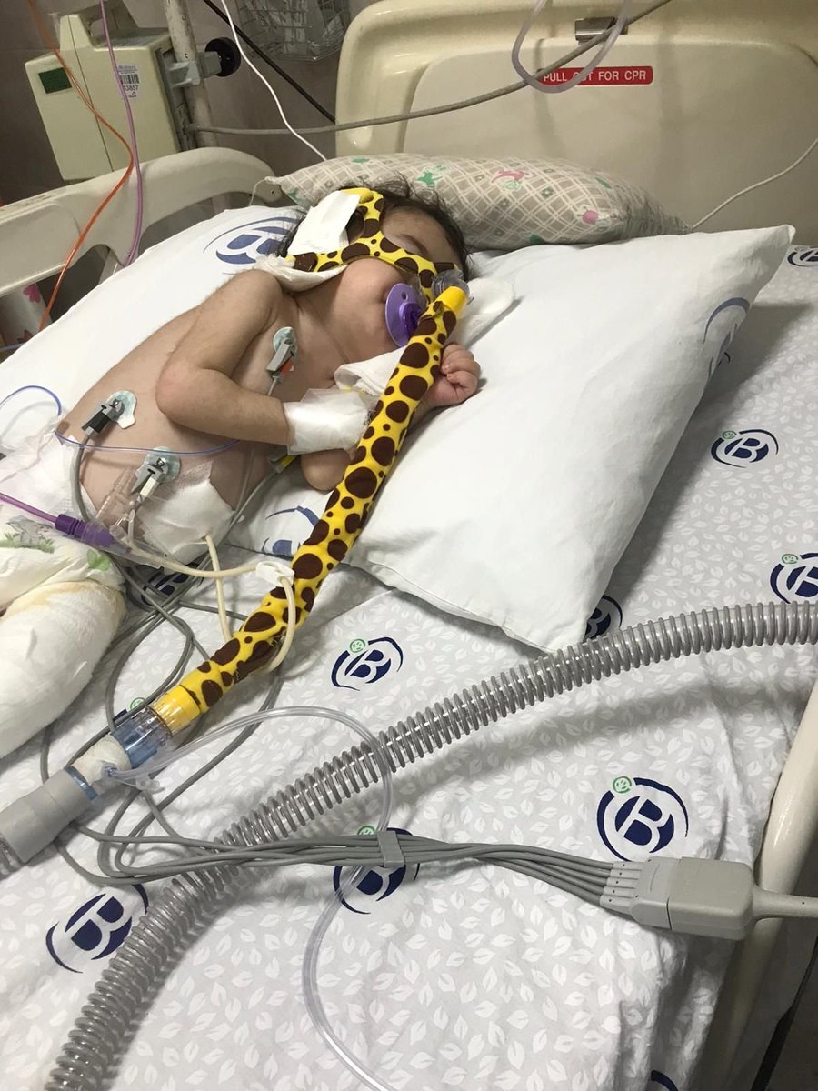 Zümra yorgun bedeniyle direniyor ancak daha ne kadar dayanabilir ki..

Lütfen bakıp geçmeyin🙏🏻
Onun yaşamak için size ihtiyacı var.

#MasumlarApartmanı #MaçaKızı8 
Mert Çetin Şenol Önder Karaveli
Torrent Emre Beşiktaşlı Çıkmış