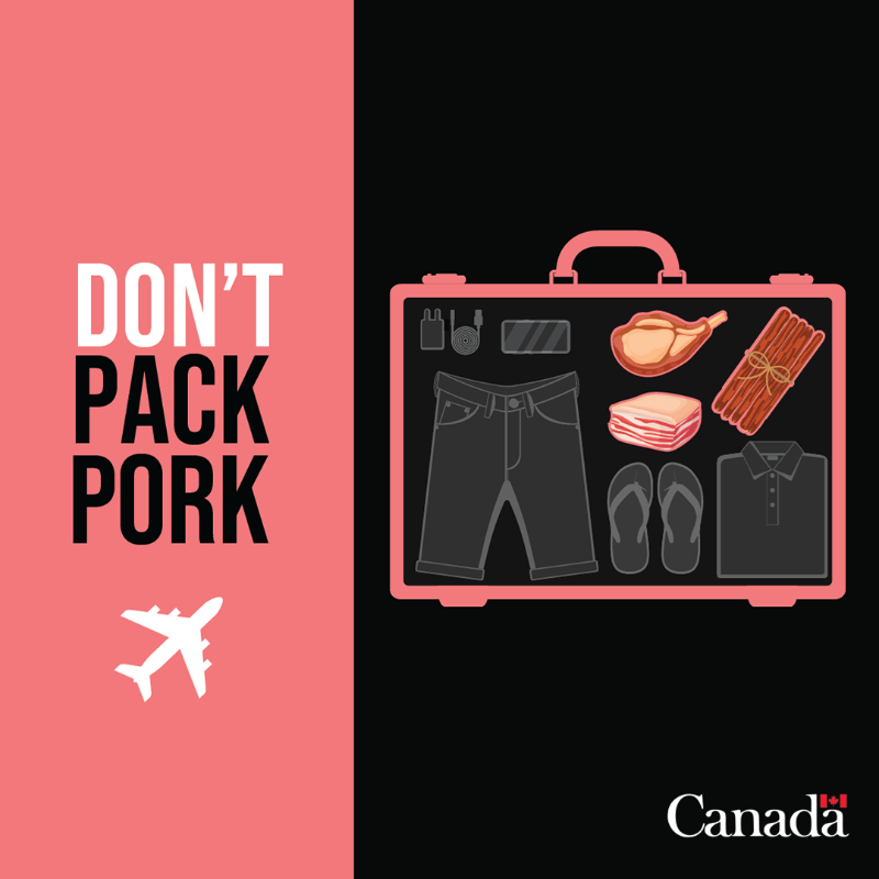 InspectionCan's tweet photo. Travellers: African swine fever could devastate Canada’s pork industry