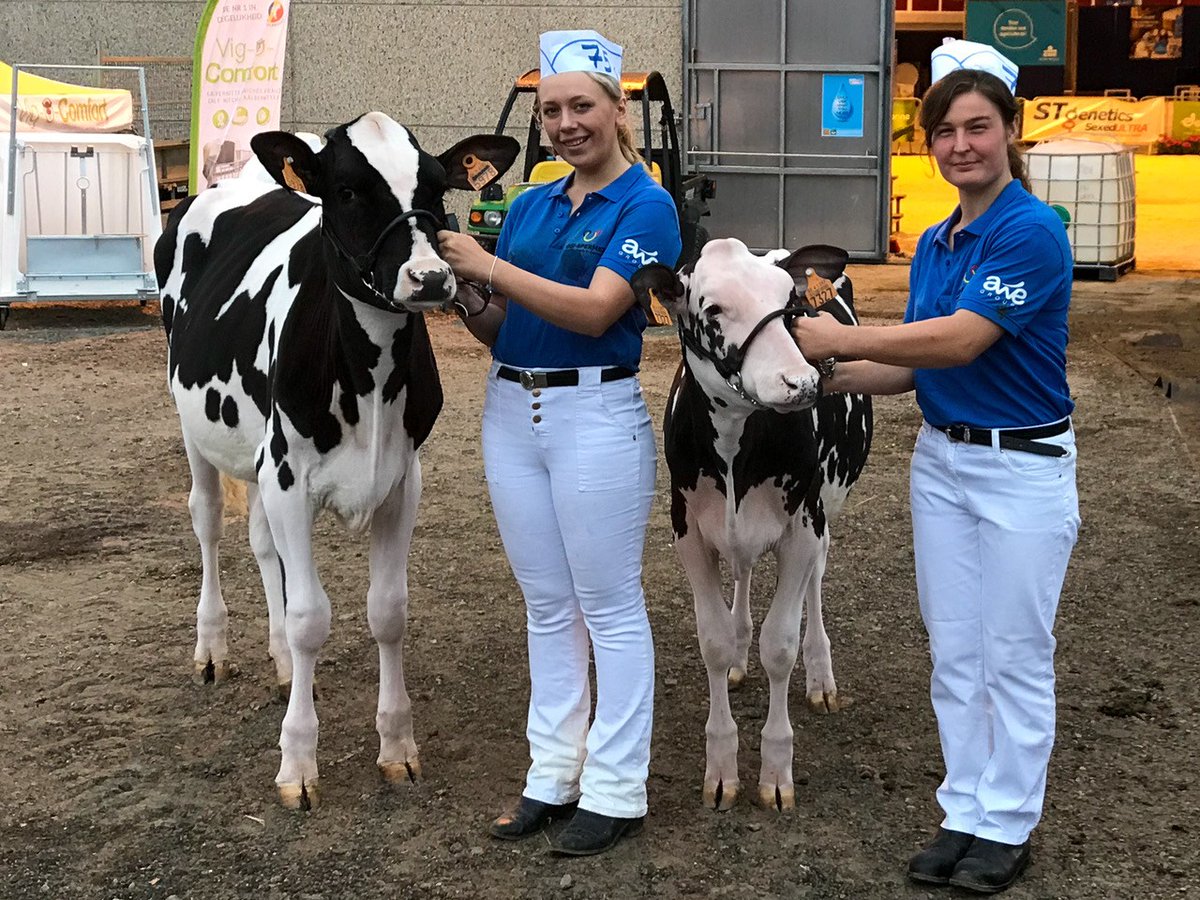 WMN Farming tweet media