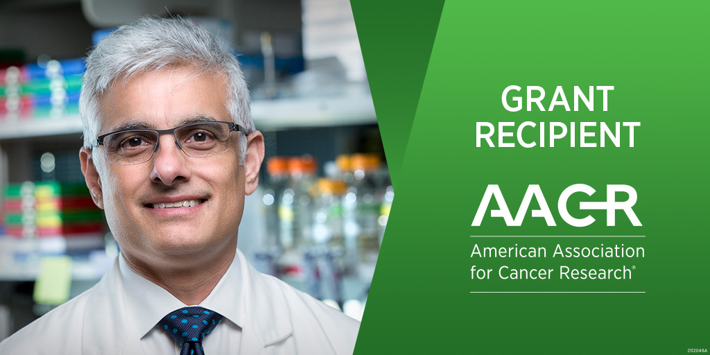 AACR's tweet photo. An AACR grant helped Sunil Hingorani, MD, PhD, @fredhutch launch an investigation into the origins of #pancreaticcancer that shaped his career. https://t.co/xVeUZ5PLm0 #AACRGrants https://t.co/zvWNmbjm2u