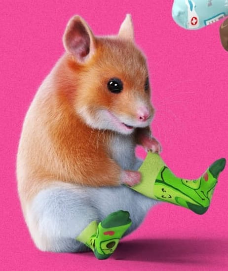 Niemand
Wirklich kein einziger Mensch auf dieser Welt
Mein Vater der mir random Bilder schickt: