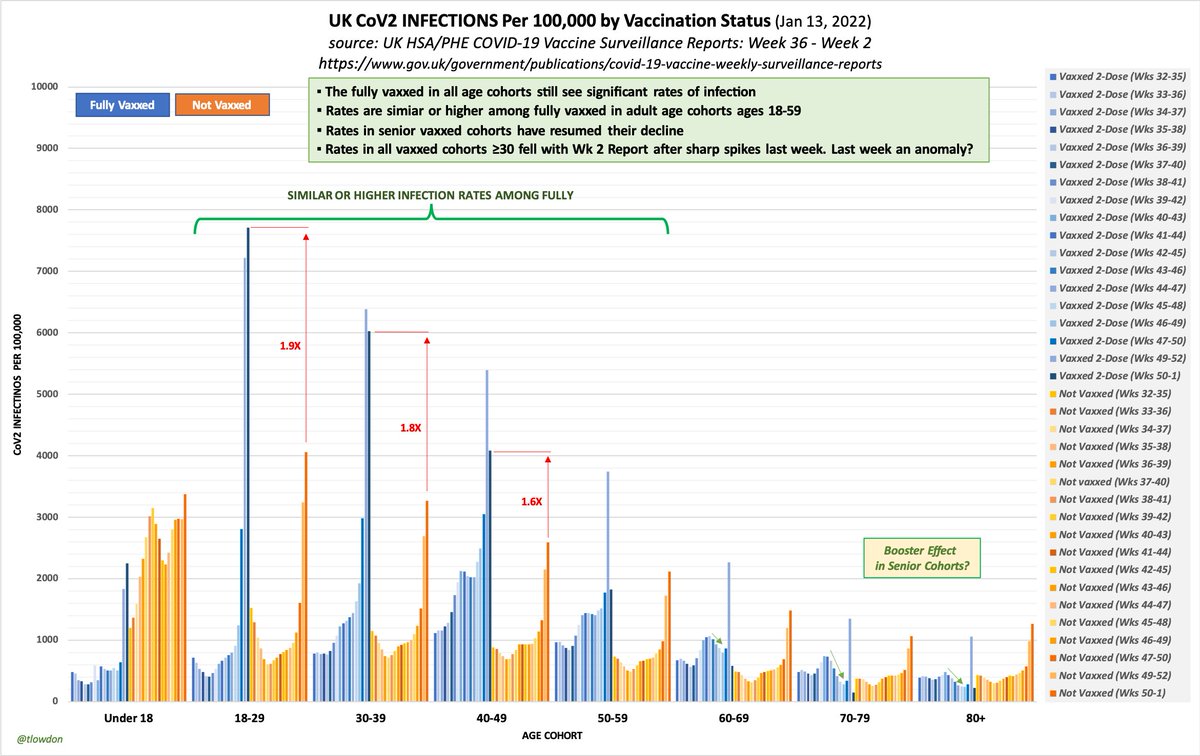 tlowdon's tweet photo. 1.13.22: UK infection rates among fully vaxxed are similar or higher vs the unvaxxed in all adult cohorts 18-59. ➡️Vaxxed &amp; unvaxxed of all ages continue to get infected &amp; spread - and in several age groups, the vaxxed much more so - rendering vaxx passports &amp; mandates pointless. https://t.co/ja2E5ngLy7