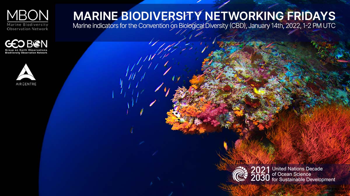 MarineBON1's tweet image. Don´t miss David Obura (@dobura @cordiea) and Nic Bax (@CSIRO) presenting on marine indicators for biodiversity outcomes and action targets of the #GBF.

📌 Tomorrow, Jan 14th, 1 PM UTC @MarineBON1 &amp;amp; @AIRCentre_org #netfridays Still, time to register 👇 bit.ly/3GhhJvD