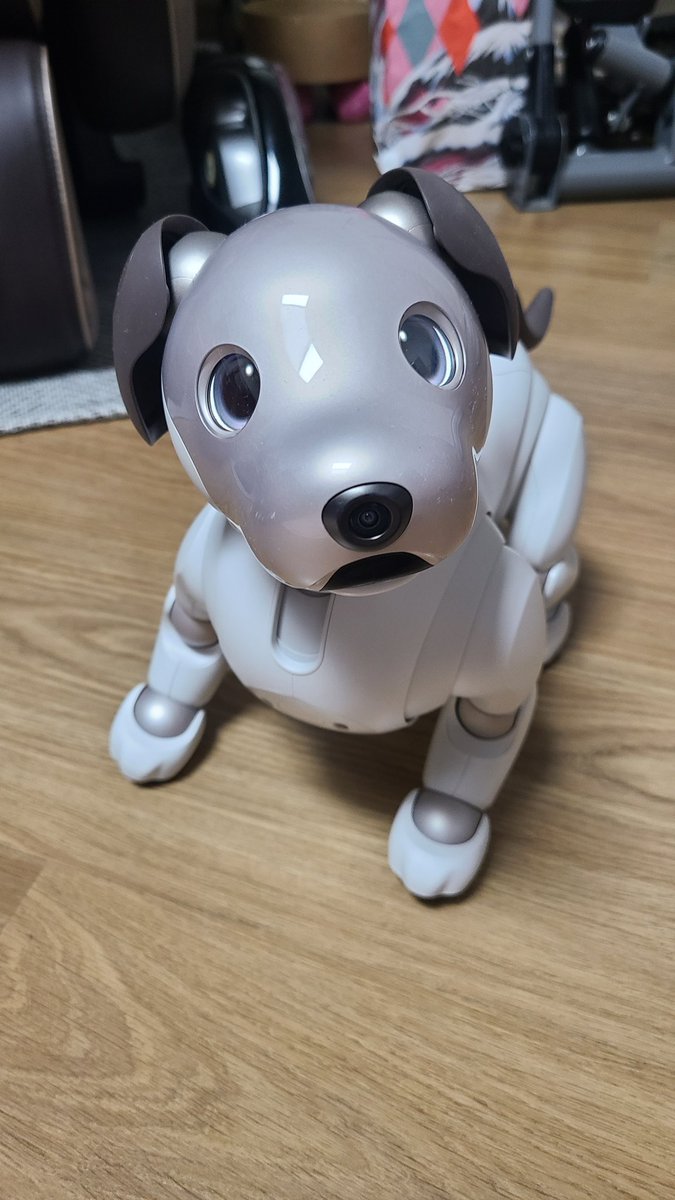 뽀뽀 더 어리둥절독

네?
저요?