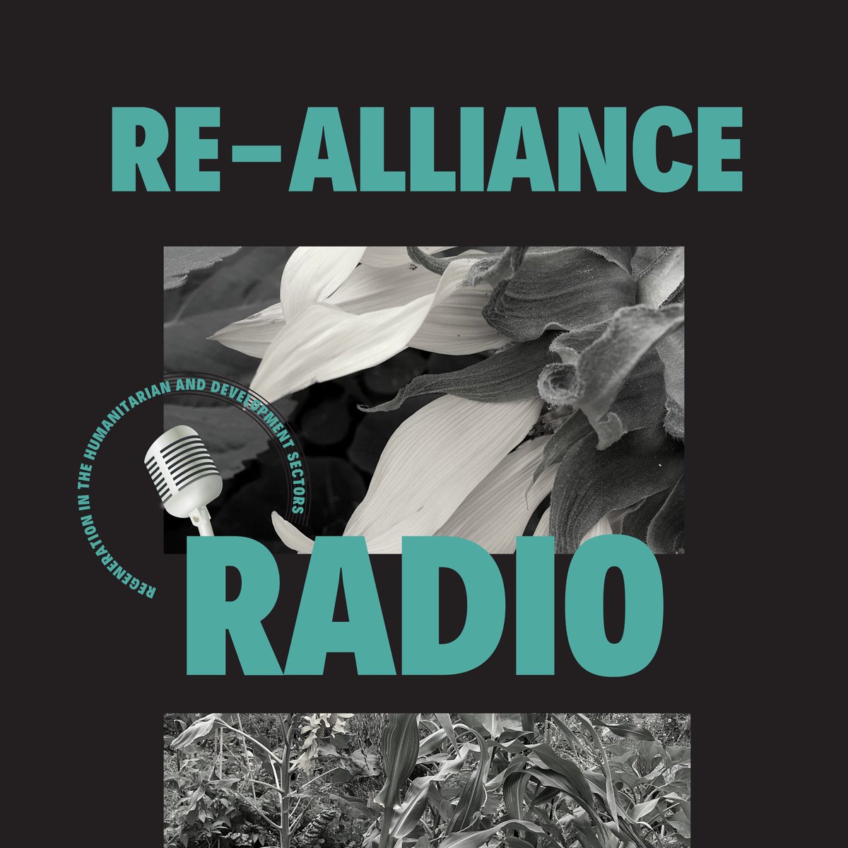 Re-Alliance tweet media