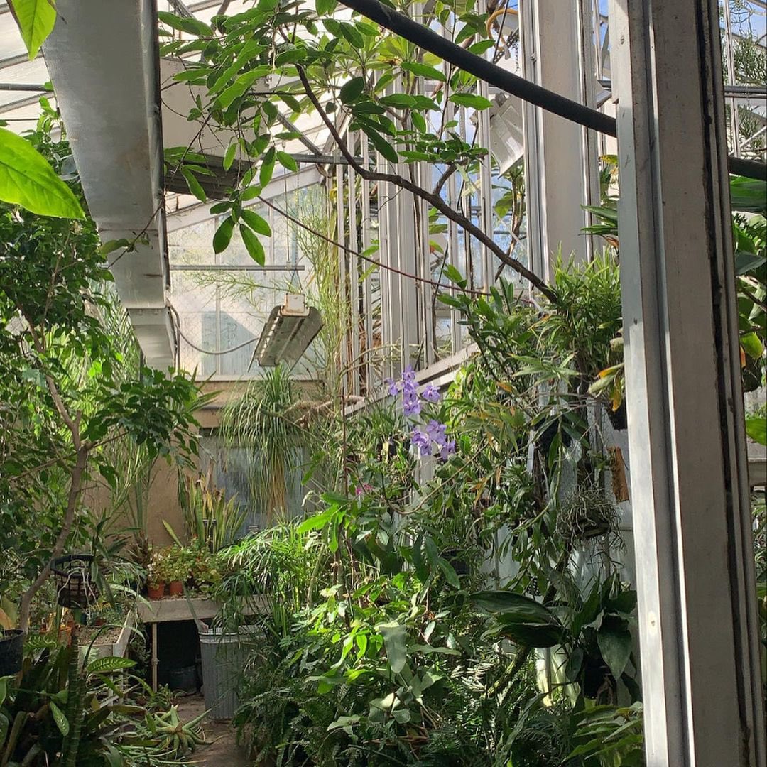 Butler University tweet media