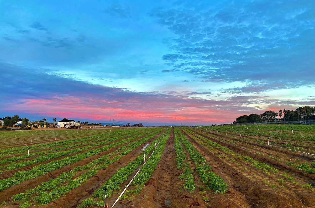 Morning meeting 📈