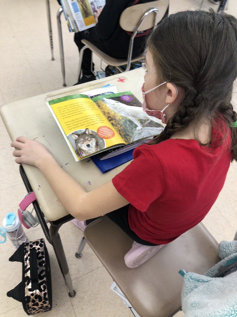 HowellMemorial's tweet image. Students in @SteinbergMrs class were rocking it in ELA today! Using padlet to record reading non-fiction with expression is an amazing way to display their reading powers! Keep it up, Bulldogs! #WorkHardBeKindGoBulldogs #HTPSLearnerSuccess #HowellReads