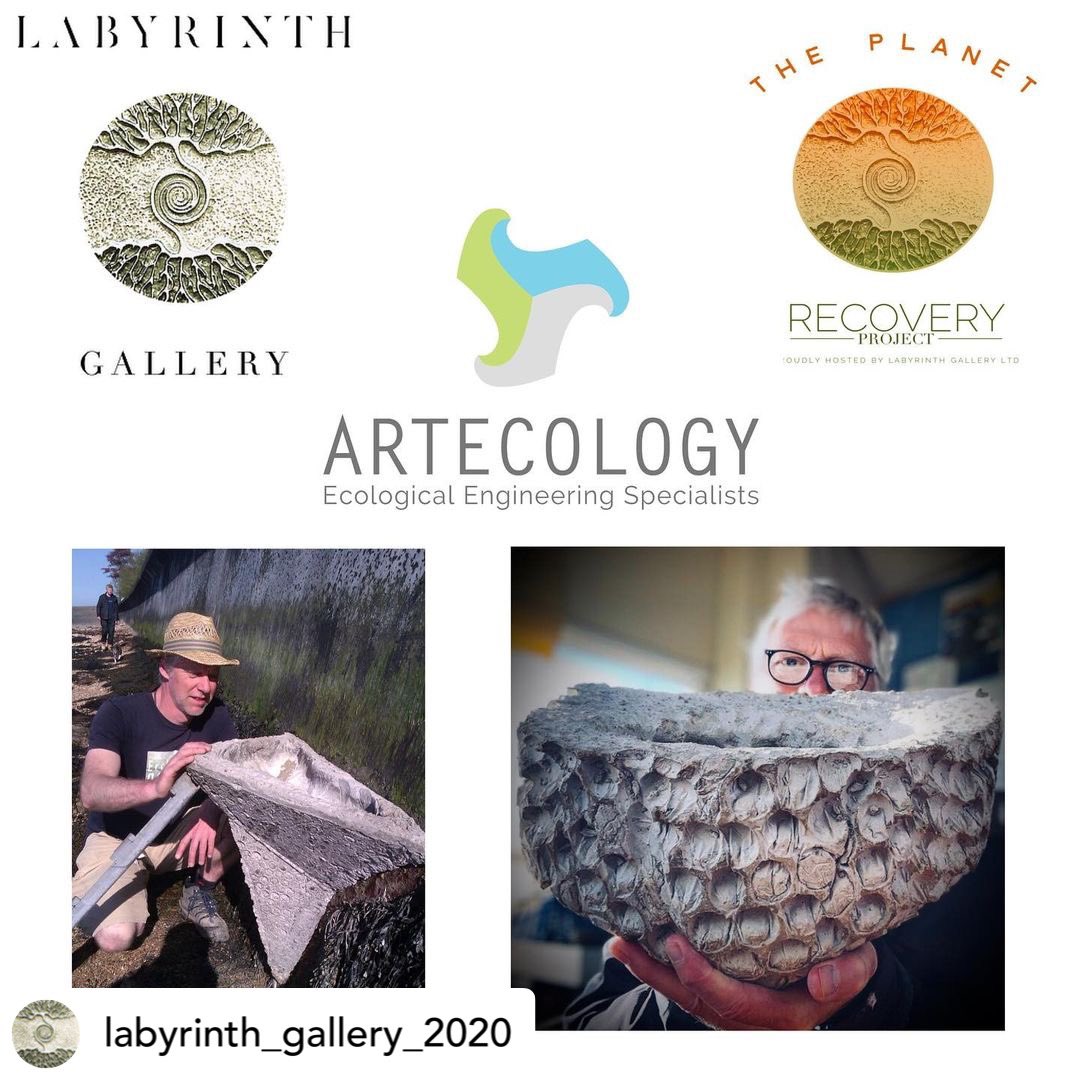We’re chuffed as (freshly nibbled by #UNESCO Isle of Wight World Biosphere Reserve red squirrels) nuts to join the likes of @CwallWildlife and @LondonPhotoFest as partners in @LabyrinthGaller’s Planet Recovery Project. labyrinthgallery.co.uk/prp/ to find out more….