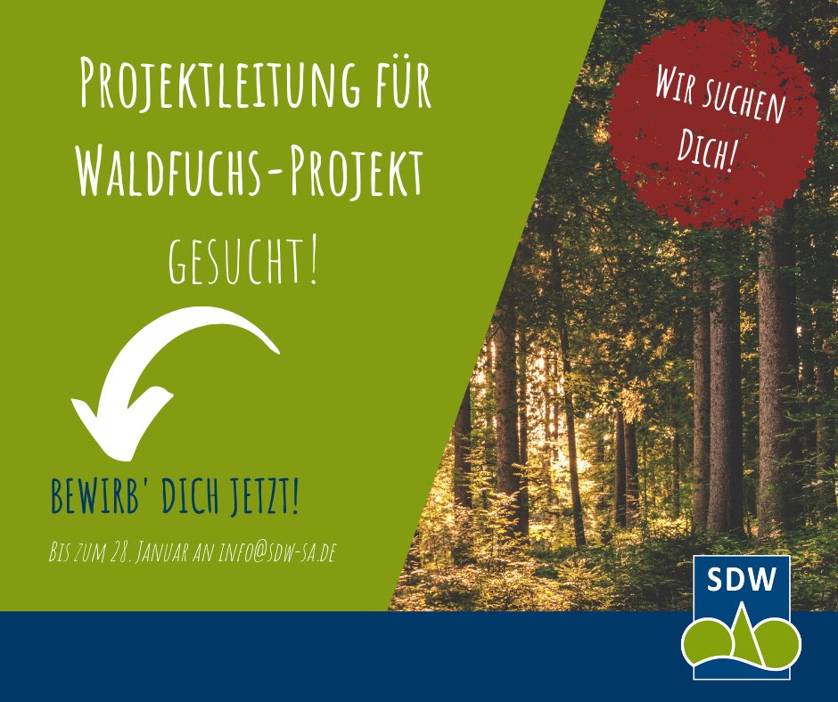 Die SDW Sachsen-Anhalt sucht Verstärkung! 
Du kommst aus dem Bereich Forstwissenschaft, Forstwirtschaft oder der Pädagogik und bist auf der Suche nach einem Job, dann bewirb' dich bei uns!

Die ausführliche Stellenausschreibung findest du auf ➡ sdw.de/projektleitung…