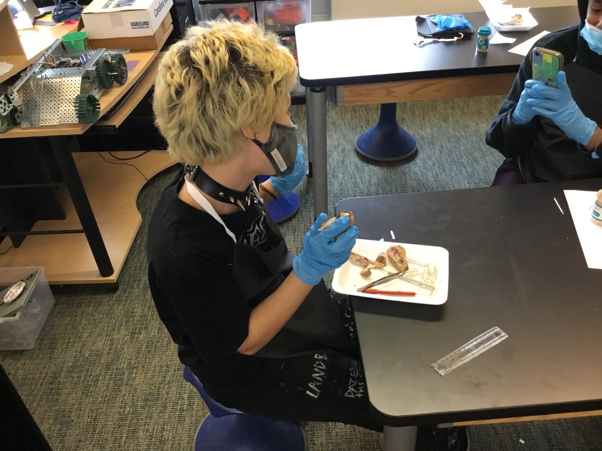 Today, we dissected sheep brains in our Medical Detectives class! 

#ACSMontfordNSA #TheACSWay