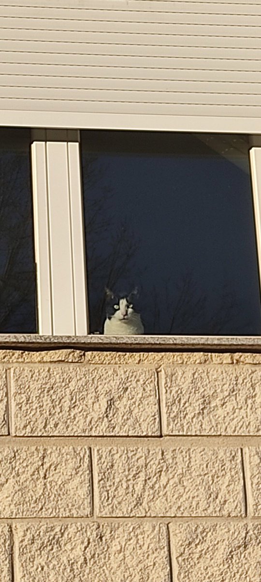 annagwzd's tweet photo. same vibes https://t.co/dWHuXCxOHz
