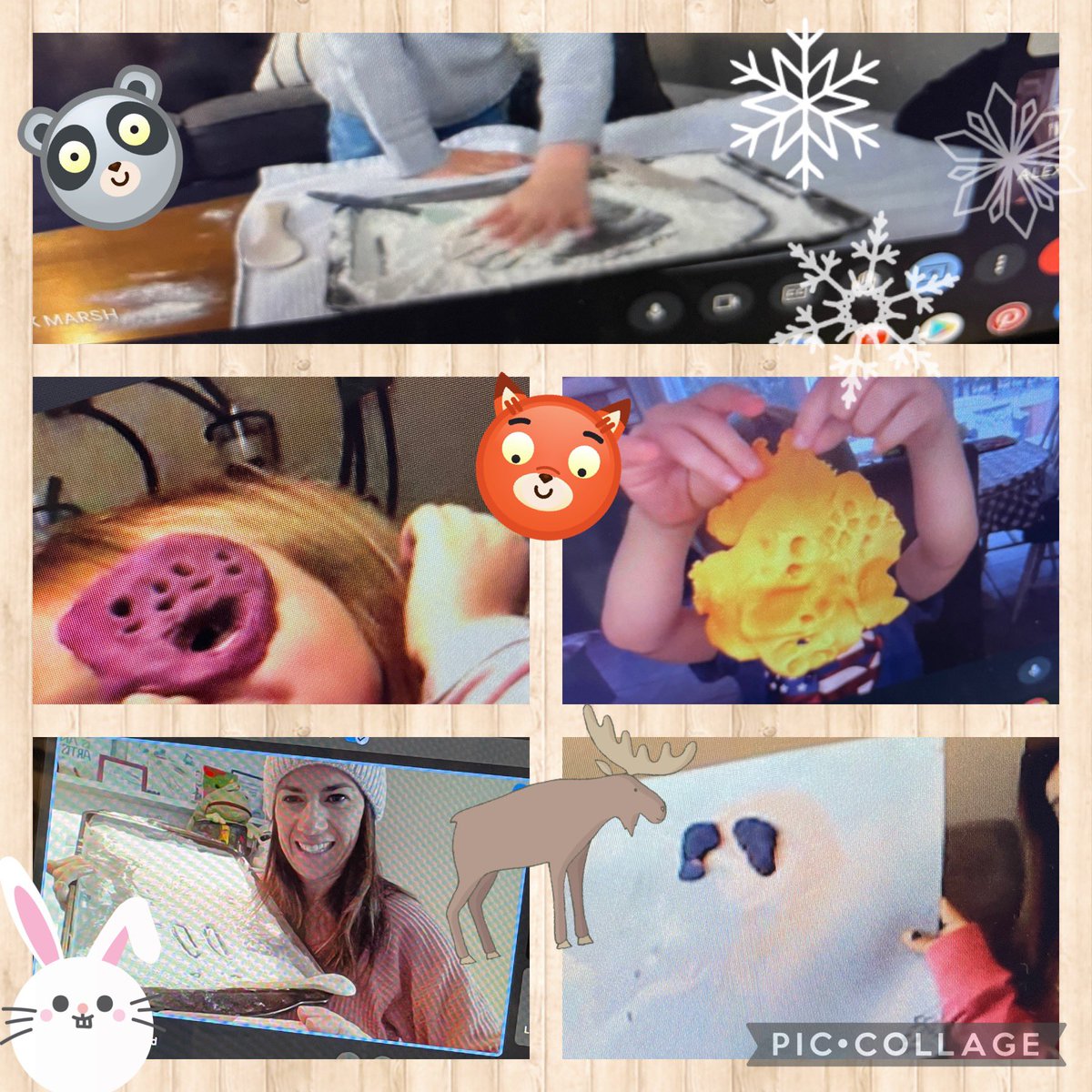 Et notre sortie virtuelle était vraiment SUPER! Merci <a href="/RBGCanada/">Royal Botanical Gardens</a> Kinder Pink loved following animal clues, live, with Justin on our virtual field trip!Highlights: the beaver skull &amp; when he “ate” deer poop!🍫🤣We made our own tracks together “back at home!”🦊🐿🦫 <a href="/ALorneCassidy/">A Lorne Cassidy</a>