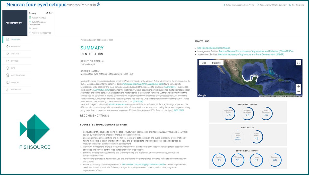 Last month we updated our FishSource profile for Four-Eyed Octopus Yucatan Peninsula stock fished by Mexico fishsource.org/stock_page/2288