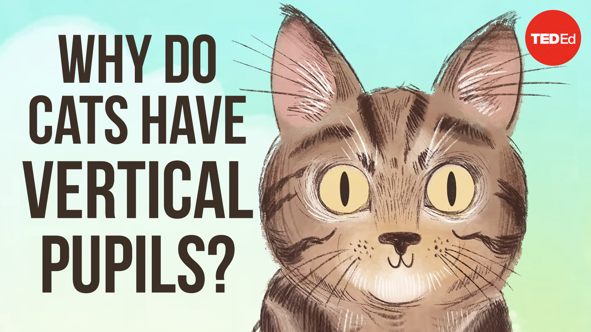 TED-Ed on Twitter: TED-Ed on Twitter: