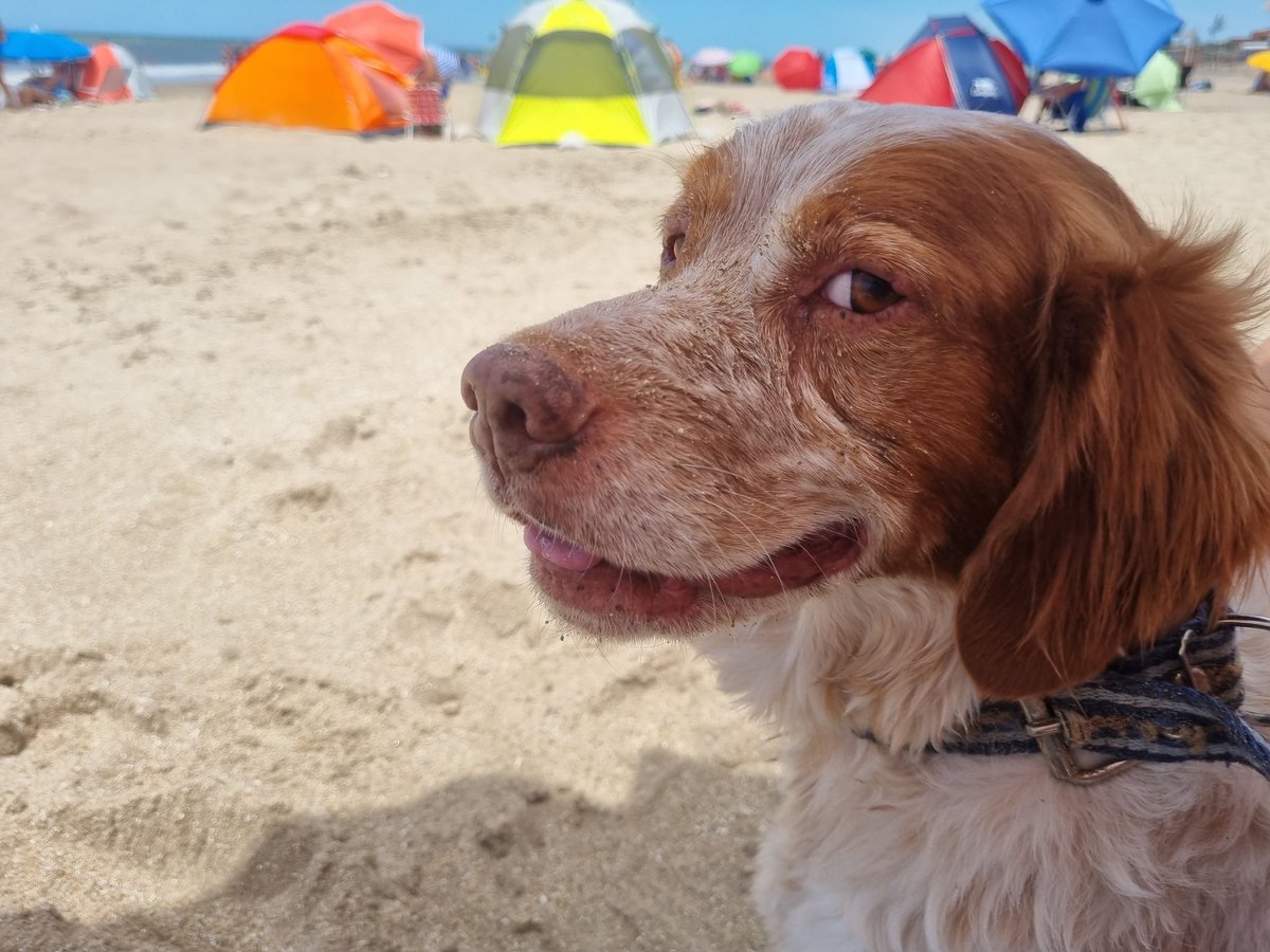 Rickileon's tweet image. Hace calor no???