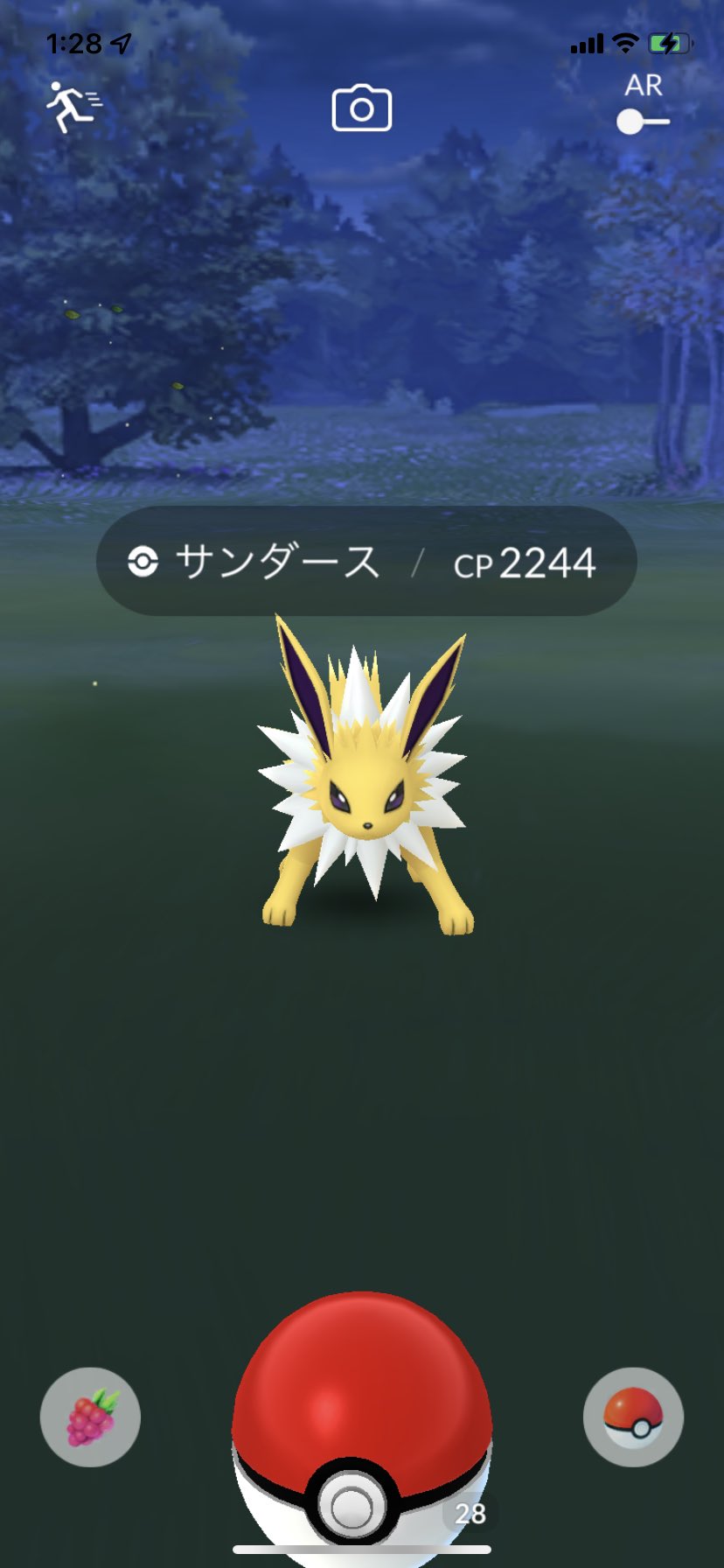 キャロット 野生にサンダースいたよs D ﾉ ﾉ個体値いまいちでもcp高い 艸 ポケモンgo サンダース T Co Rp9whfmvvd Twitter