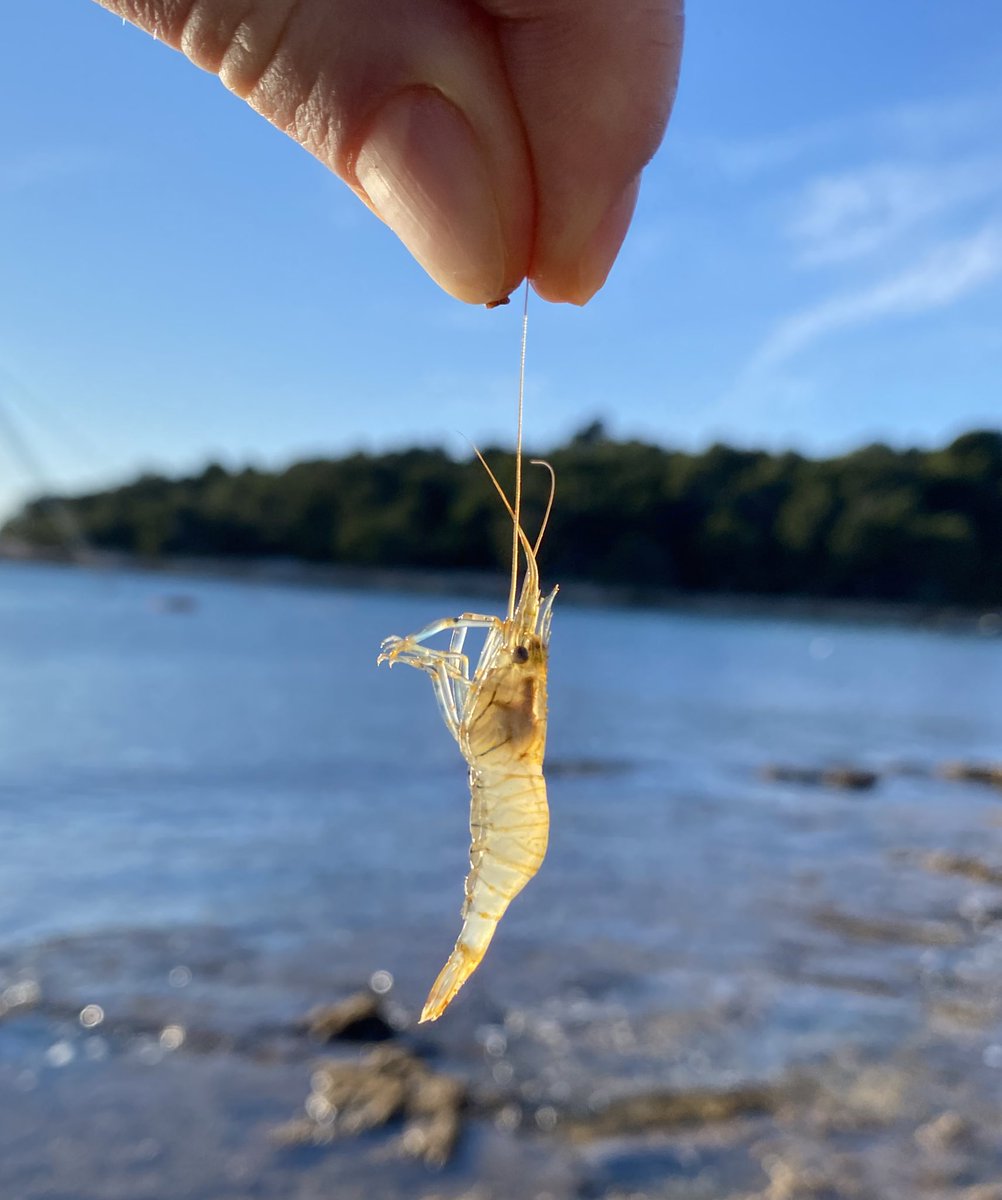 For now it’s the best decision. Croatia is fun even in winter