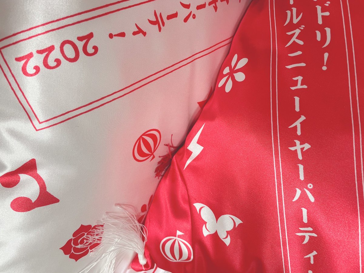 ましろちゃんグッズ〜✨ どれも本当に可愛い😭 特に、寝そべりぬい