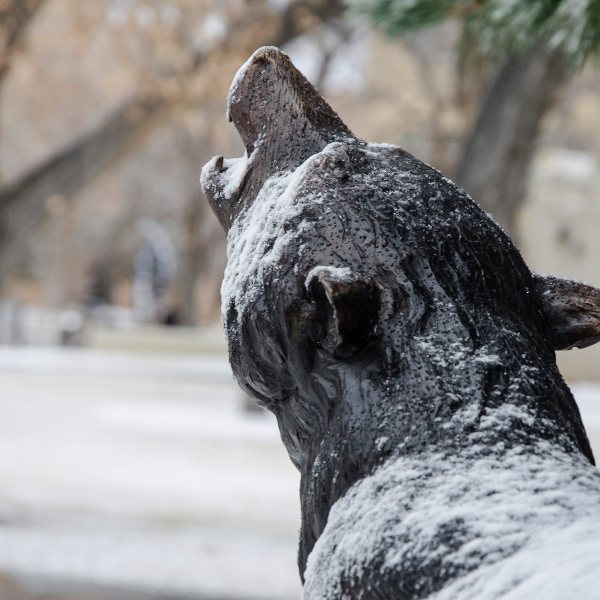 UNMfinearts's tweet photo. We're happy here at UNM Fine Arts to welcome the students back on Tuesday, 1/18! Monday, 1/17 is MLK Day so there will be no classes. See you soon!
#UNMfinearts https://t.co/SvsRHwFflp