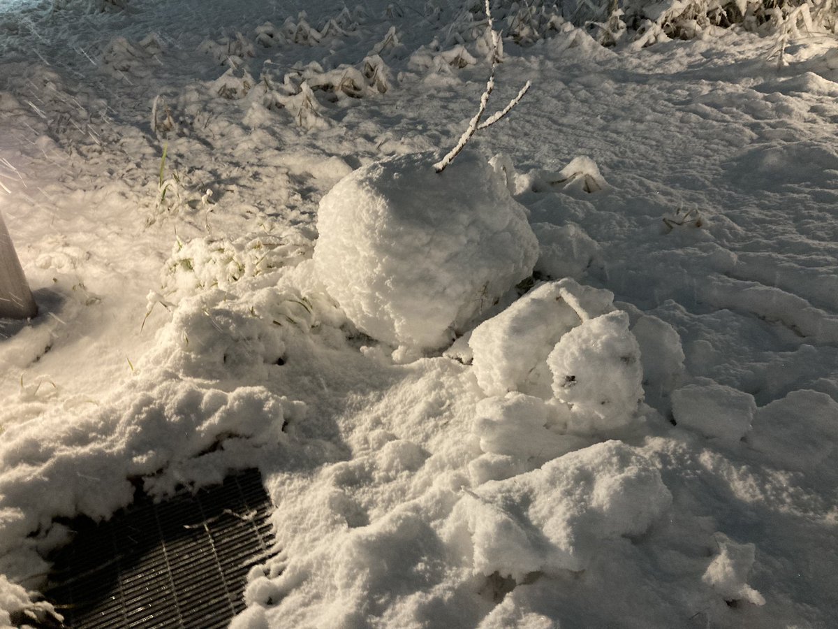 Tomoya Kadi tweet media