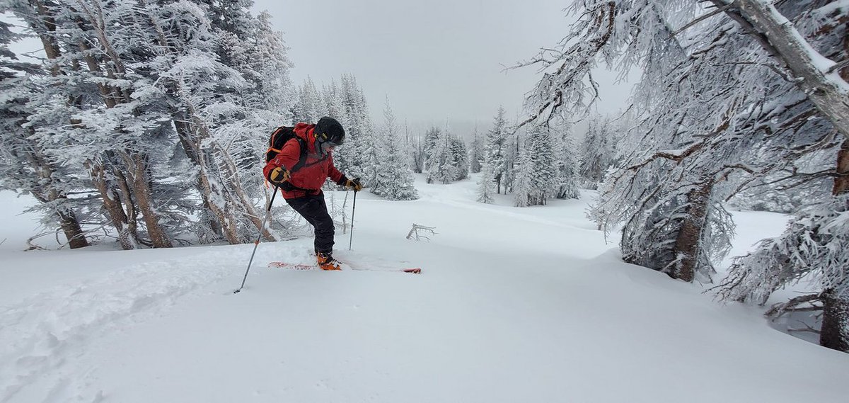 ClimberJim's tweet photo. The backcountry skiing on #CameronPass in early December was cold, hard work... and fantastic! It was breezy and below zero degrees, but Rodney Ley and I got a long descent through the trees in almost a foot of fresh powder. Remember to #SeizeTheDay! https://t.co/DsiDaSR9Ew