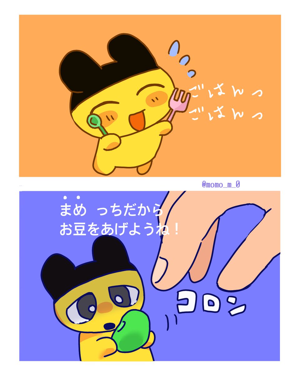 まめっちとごはん🍽
 #まめ虐 