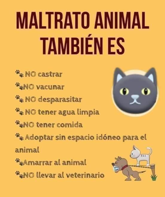 Por favor #SeResponsable