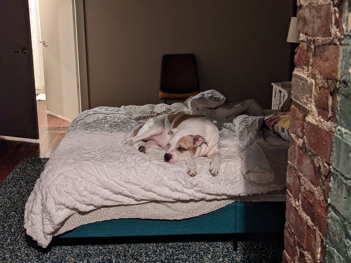 MamaSchalk's tweet photo. Graham and I only tend to argue about two things: when we are going to bed, and when we are getting out of bed. We always seem to be of opposite opinions on this, no matter which side we take. #graham #inventoryweek #Vampire https://t.co/YjxVosxeBA