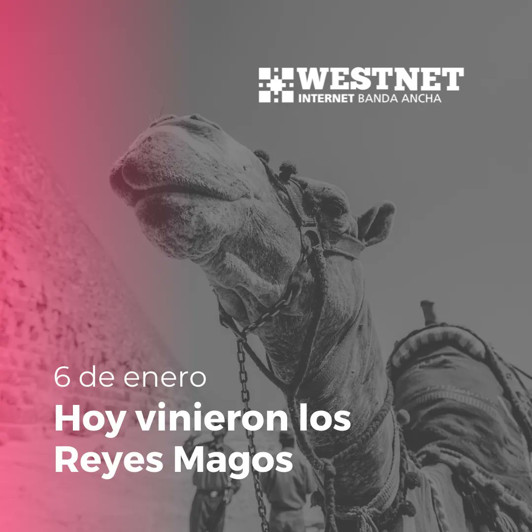westnetoficial's tweet photo. Qué te trajeron?
.
#westnet #internetbandaancha #wifi #wireless #wifimendoza #wifimza #fibraoptica #fibramendoza #mendoza #argentina #llegamosdondenadiellega https://t.co/ha6htMXVKf