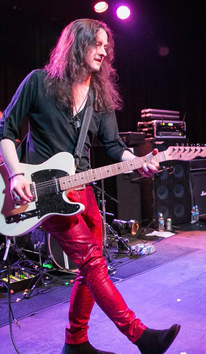 Swamp Born Assassins tweet media