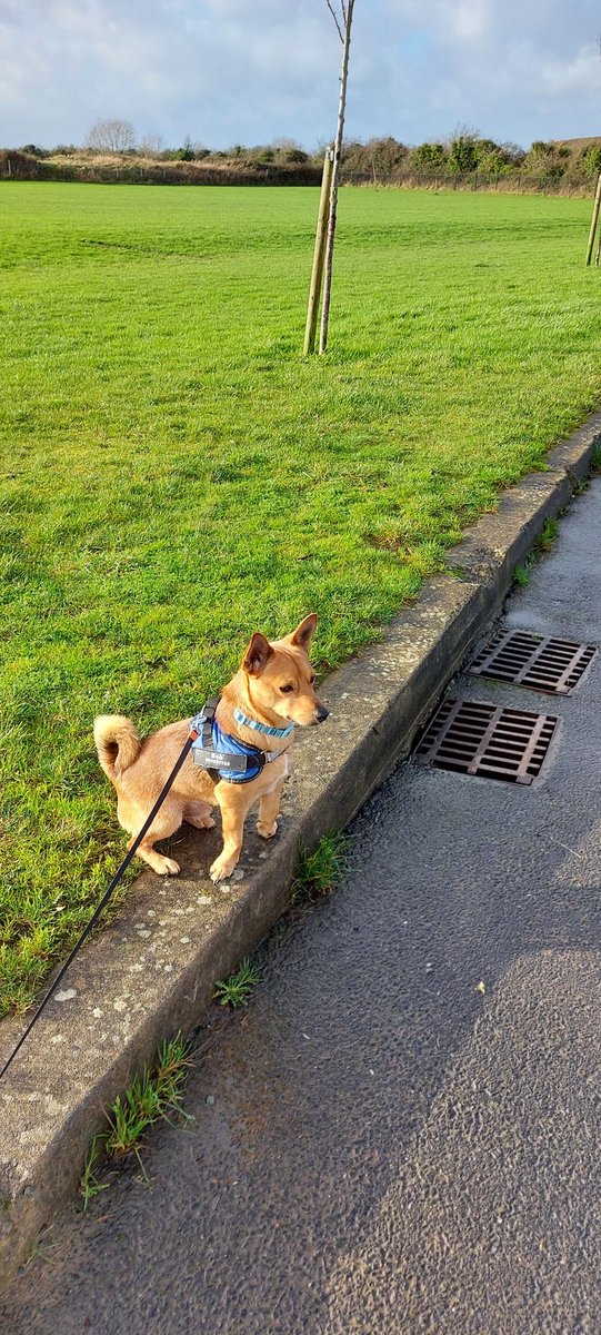 Donna Spratt tweet media