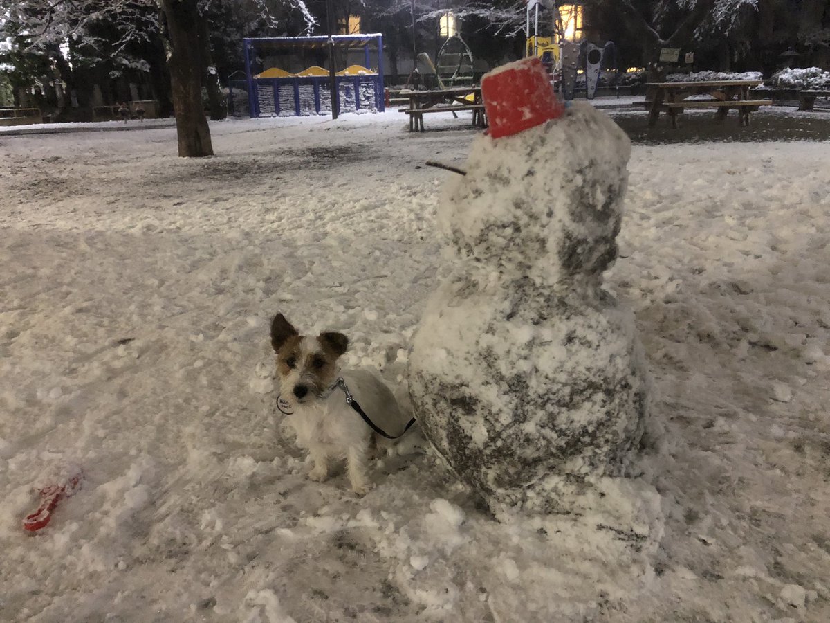 おかゆはじめての雪☃️
雪だるまと記念にパシャリ📸
路面が凍結してて道路渡る時ツルツル滑ってた🤣
#初雪
