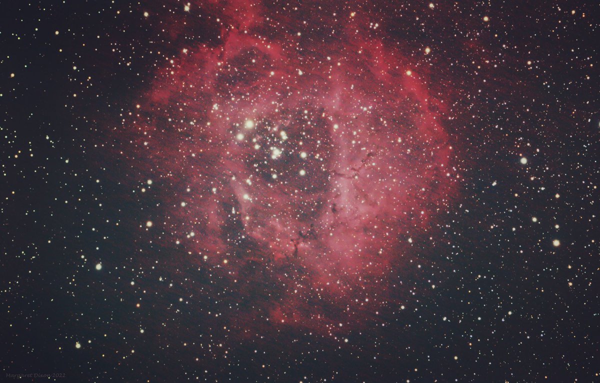 themagster3's tweet photo. @Astronomer_Mark @Sunset_Twilight First time out in an age. I was so rusty but here’s my Caldwell 49 from last night aka Rosette nebula. https://t.co/v9VzZfTkaT