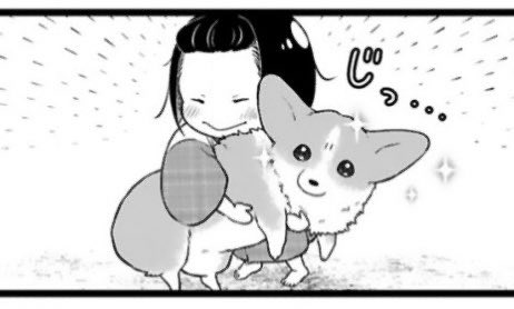 『#殿と犬』 7話目の #推しのコマ (選べない) ▶︎ぐえぇ ▶︎むいむい ▶︎じっ… 新しい表情、たくさん発見🐶🐾