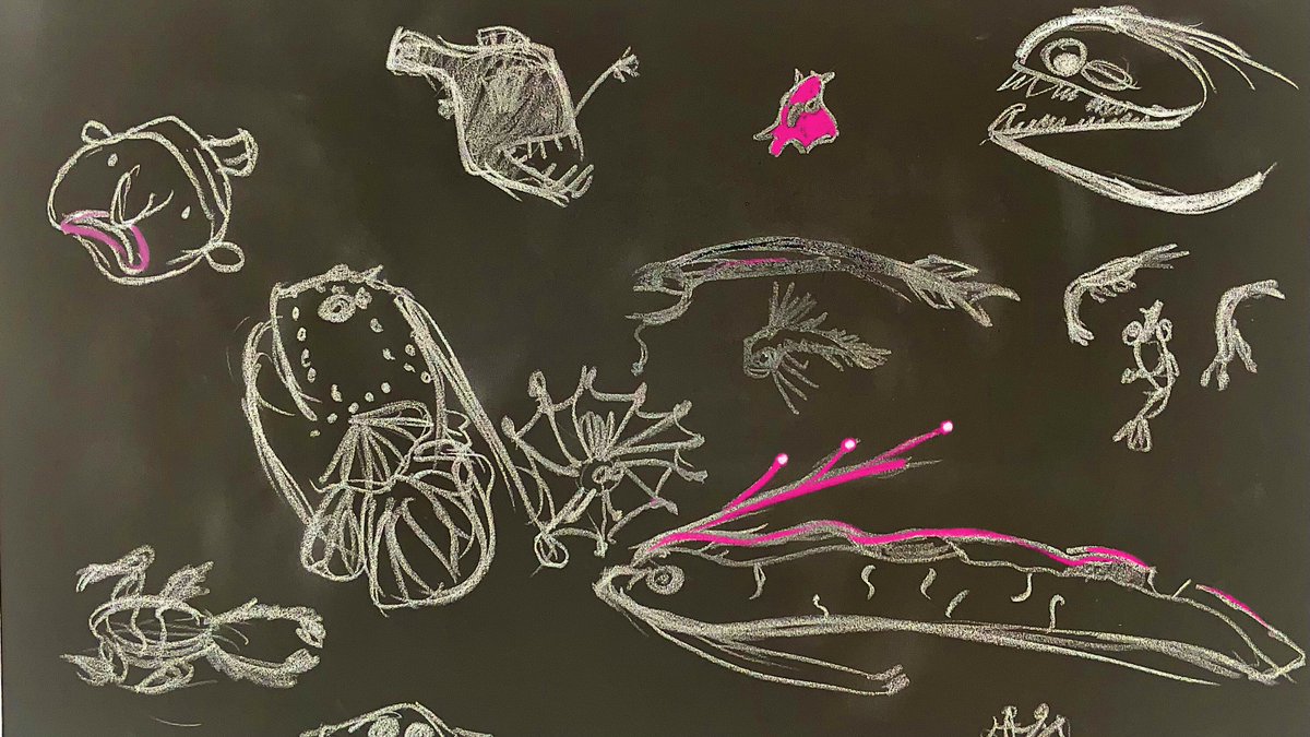 Dan_Jones's tweet photo. #dailysketch 1-5-22. Some deep sea creatures for you. I can’t believe the Oarfish is real. Majestic—look it up! #sketchbook https://t.co/2giRRREbN0