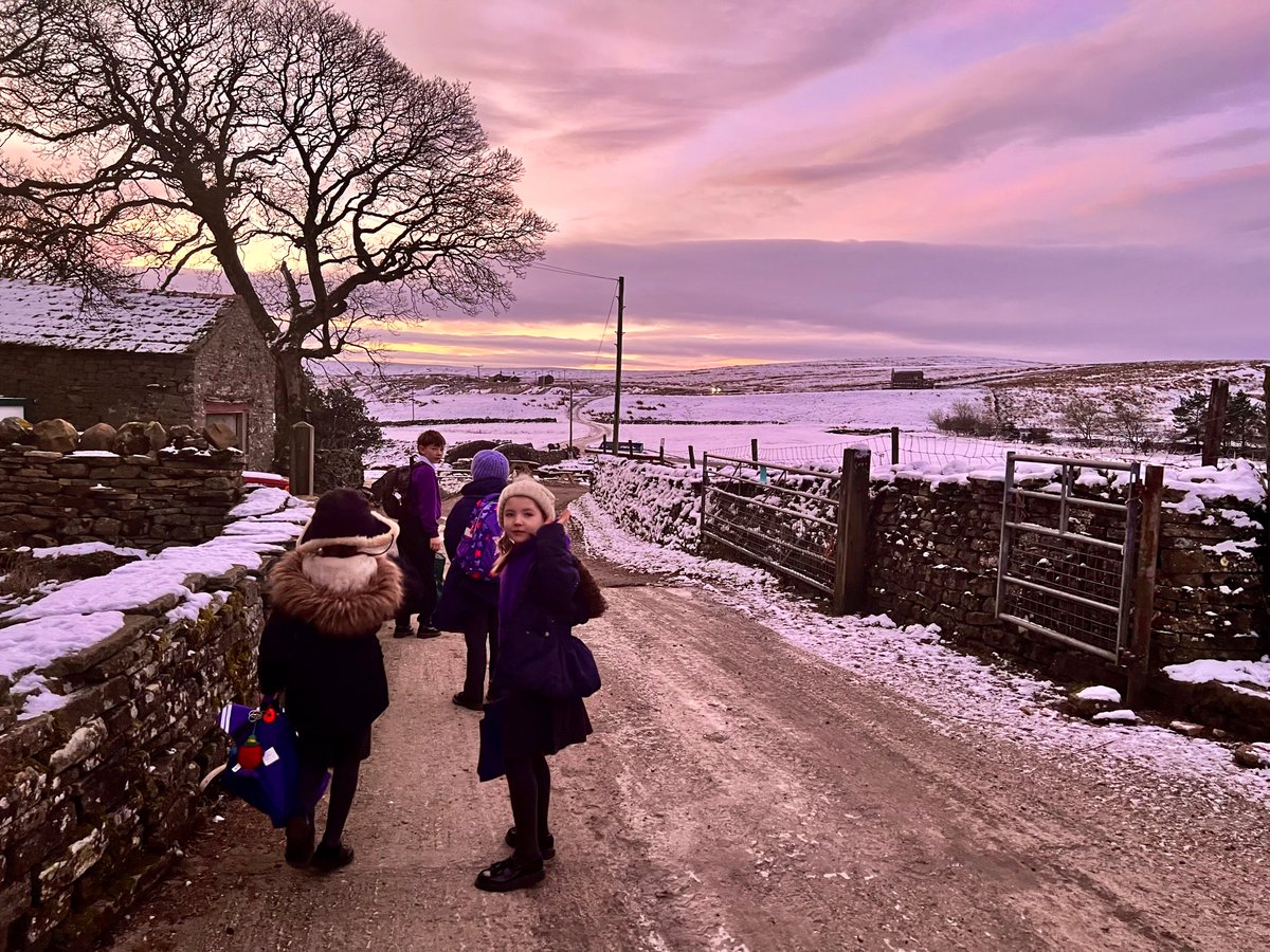 YorkshireShepherdess tweet media